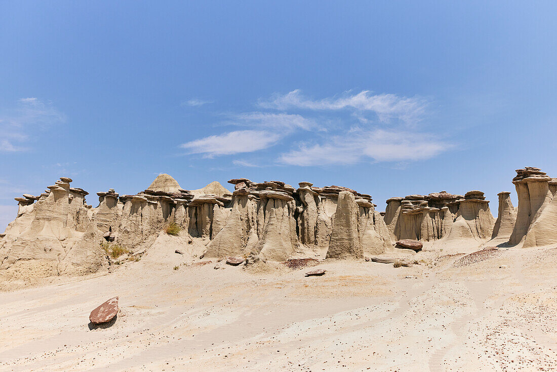 Tiefwinkel-Weitwinkelaufnahme von Sandstein-Hoodoos und einem klaren blauen Himmel im Ah-shi-sle-pah Wilderness Study Area in New Mexico. Das Gebiet liegt im Nordwesten von New Mexico und ist ein Badland-Gebiet mit sanften, wassergeschnitzten Lehmhügeln. Es ist eine Landschaft aus Sandsteinfelsen und malerischen olivfarbenen Hügeln. Wasser in diesem Bereich ist knapp und es gibt keine Wanderwege; Die Gegend ist jedoch landschaftlich reizvoll und enthält sanfte Farben, die anderswo selten zu sehen sind