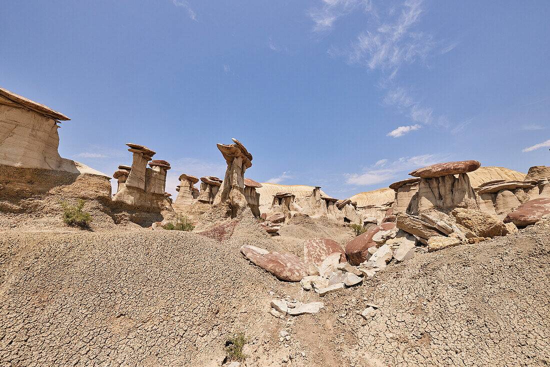 Ah-shi-sle-pah Wilderness Study Area in New Mexico. Das Gebiet liegt im Nordwesten von New Mexico und ist ein Badland-Gebiet mit sanften, wassergeschnitzten Lehmhügeln. Es ist eine Landschaft aus Sandsteinfelsen und malerischen olivfarbenen Hügeln. Wasser in diesem Bereich ist knapp und es gibt keine Wanderwege; Die Gegend ist jedoch landschaftlich reizvoll und enthält sanfte Farben, die anderswo selten zu sehen sind