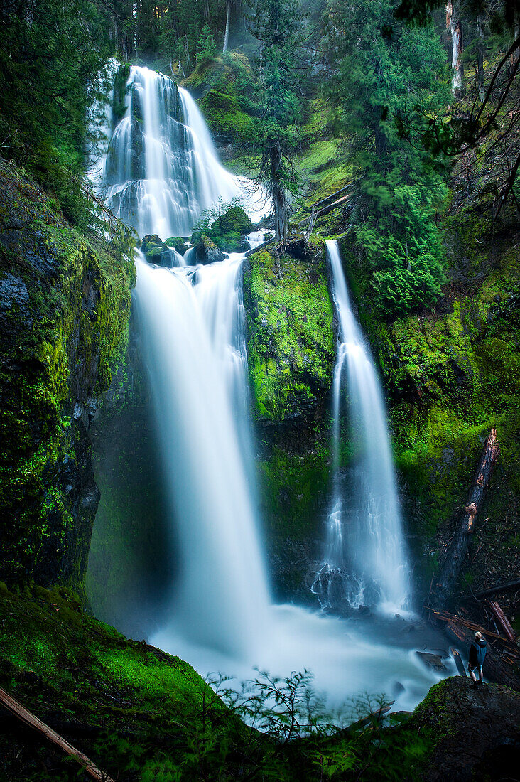 Wasserfall in Washington, Falls Creek Falls