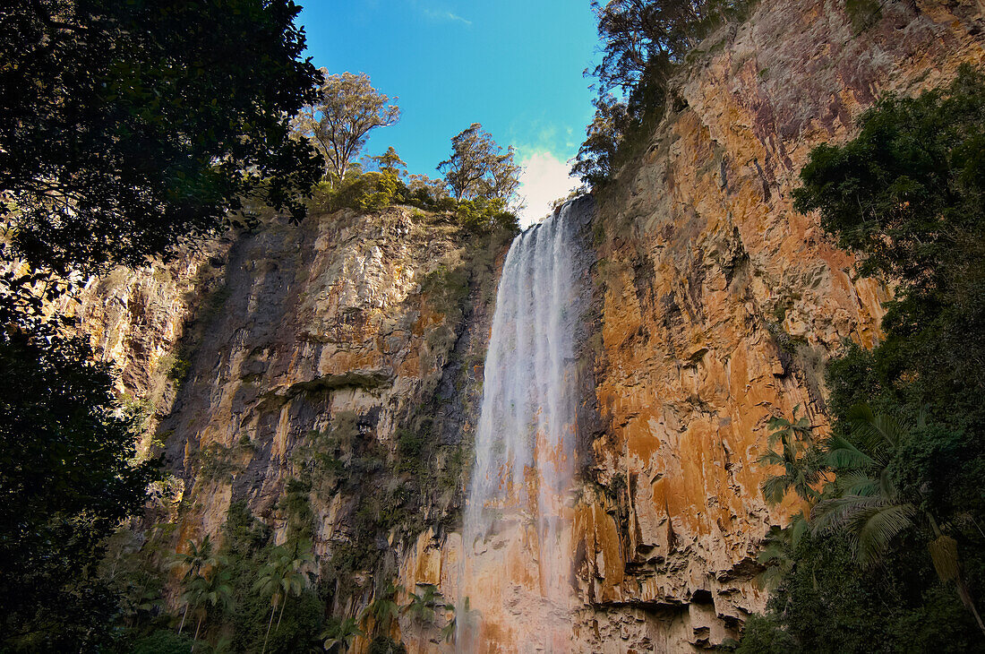 Blick auf steile Felswand am Wasser, das die Purling Brook Falls im Hinterland der Gold Coast hinunterfließt