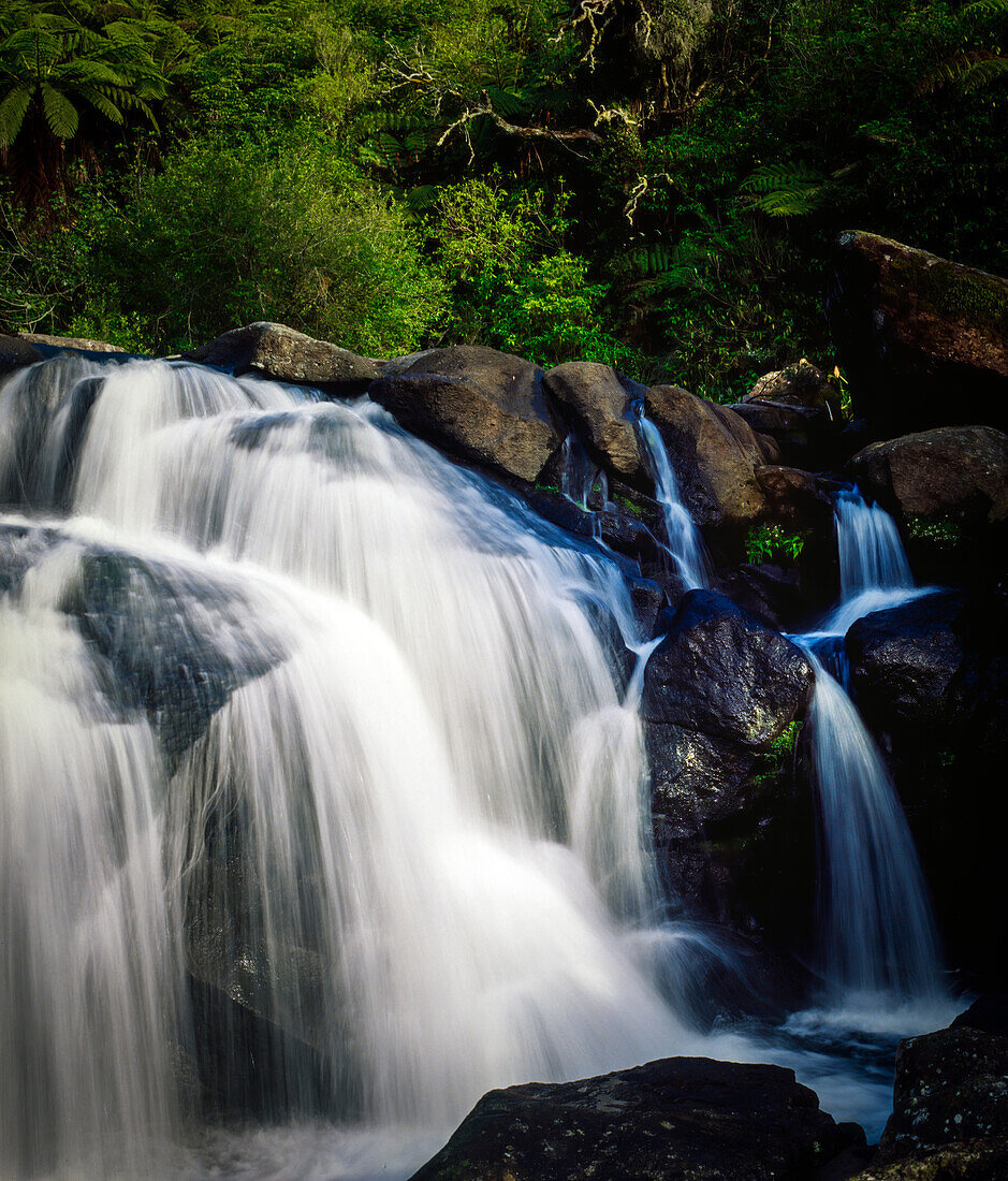 Wasser, das über Felsen unter einheimischem Laub bei McLaren Falls fließt