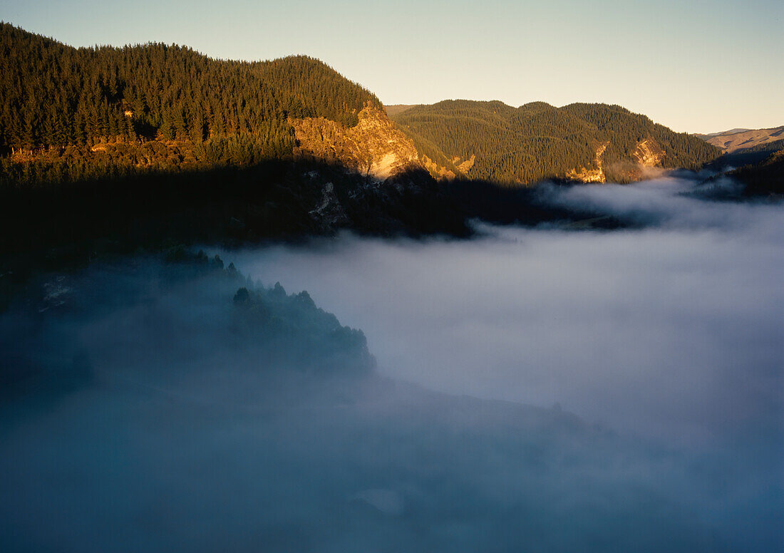 Blick hinunter auf den Nebel, der am frühen Morgen von den Baumwipfeln der mit Pinien bedeckten Hügel aufsteigt