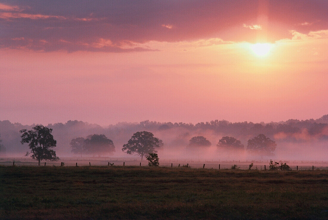 Foggy countryside landscape at sunrise, Texas, USA