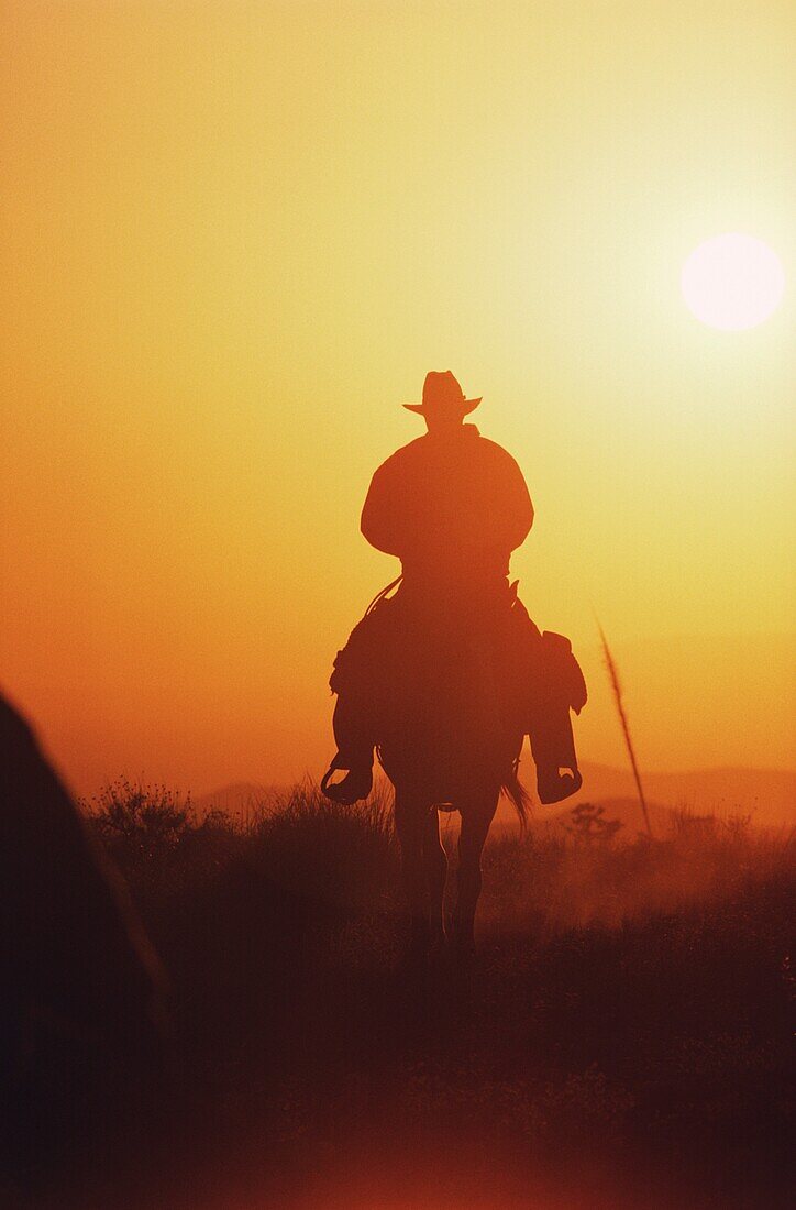 Silhouette eines Cowboy-Reitpferdes bei Sonnenuntergang, Texas, USA
