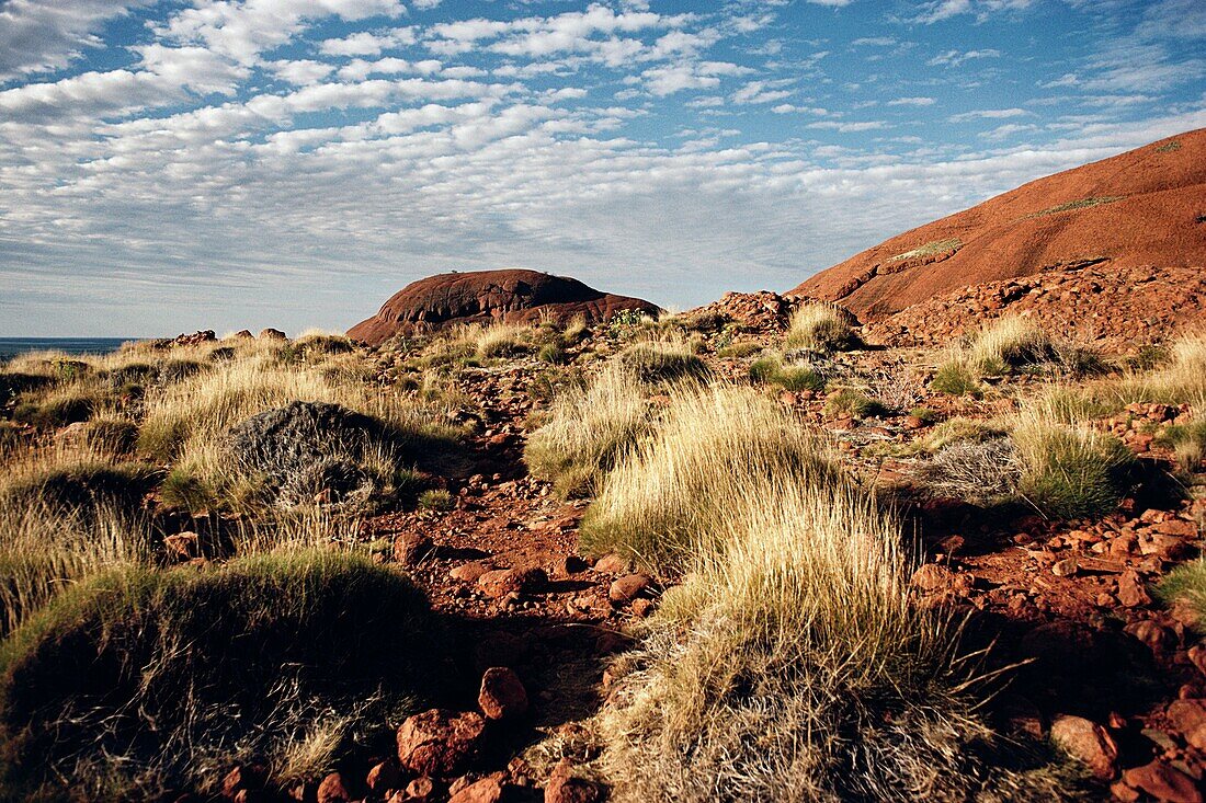 Sandstone rock formations, Uluru, Uluru-Kata Tjuta National Park, Northern Territory, Australia