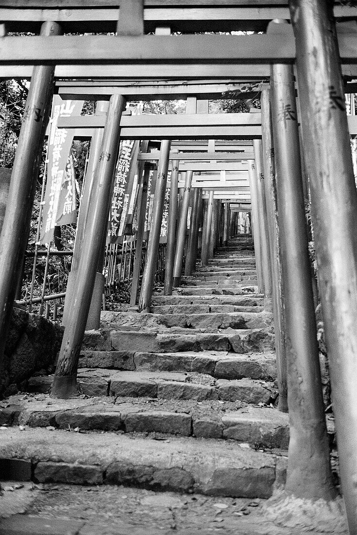 Japan, Tokio, Torii-Tore