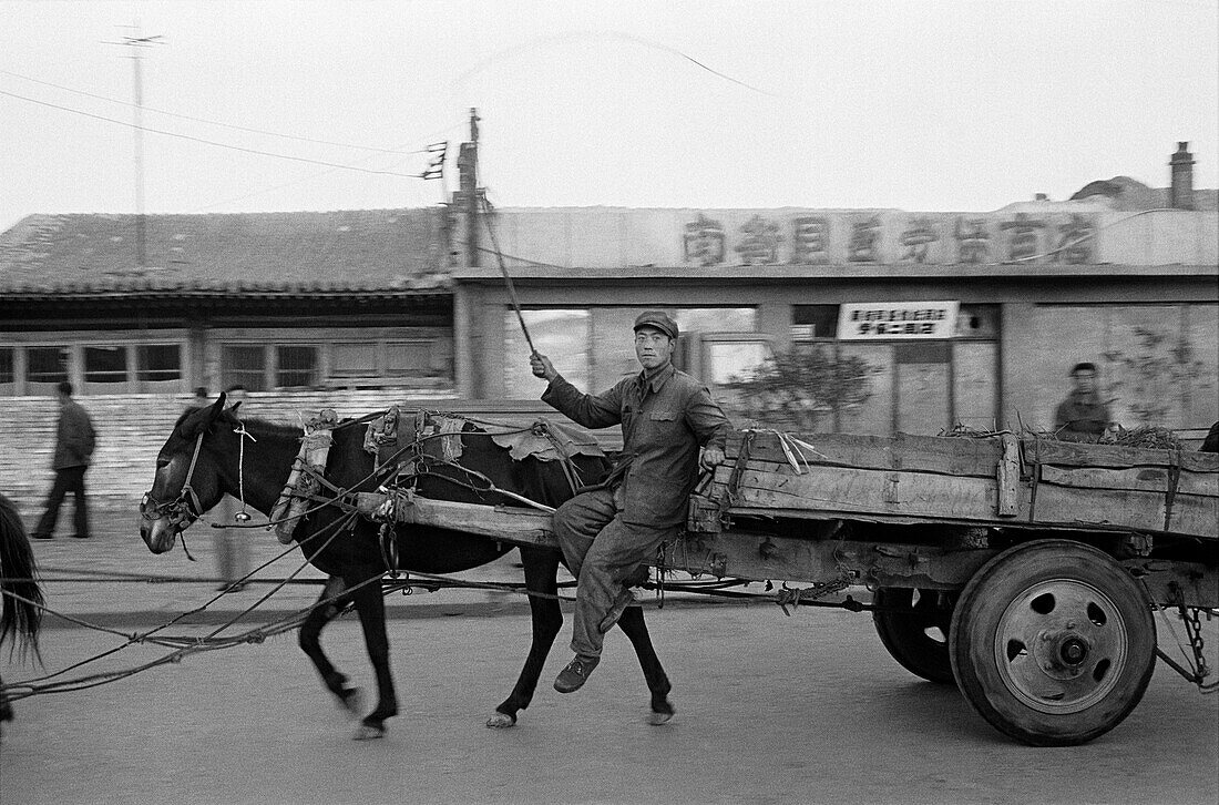 China, Datong, Man using whip to drive cart pulled by horse