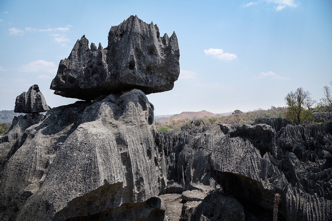 Karstlandschaft im Nationalpark Tsingy de Bemaraha, Madagaskar, Provinz Mahajanga, Afrika, UNESCO Weltnaturerbe