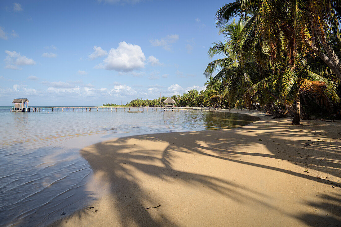 dreamy bay lined with palm trees, Nosy Nato, Ile aux Nattes, Madagascar, Indian Ocean, Africa