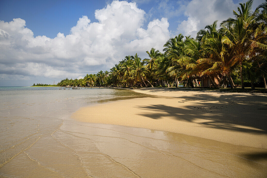 dreamy bay lined with palm trees, Nosy Nato, Ile aux Nattes, Madagascar, Indian Ocean, Africa