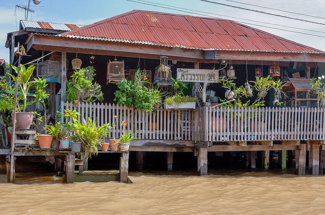 Altes Haus am Fluss Chao Phraya in Thailand