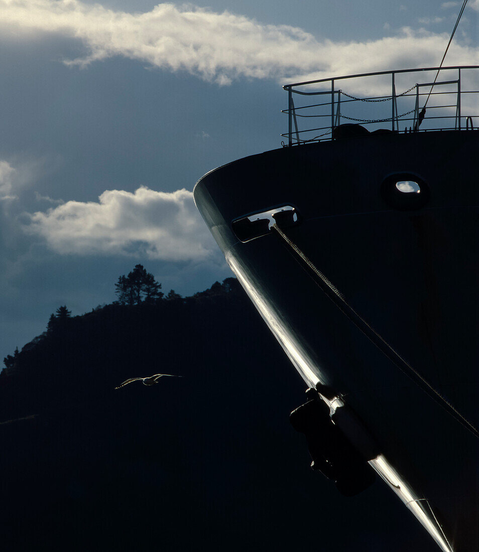 Möwe fliegt am Bug des Schiffes vorbei, das gegen bewölkten Himmel festgemacht ist