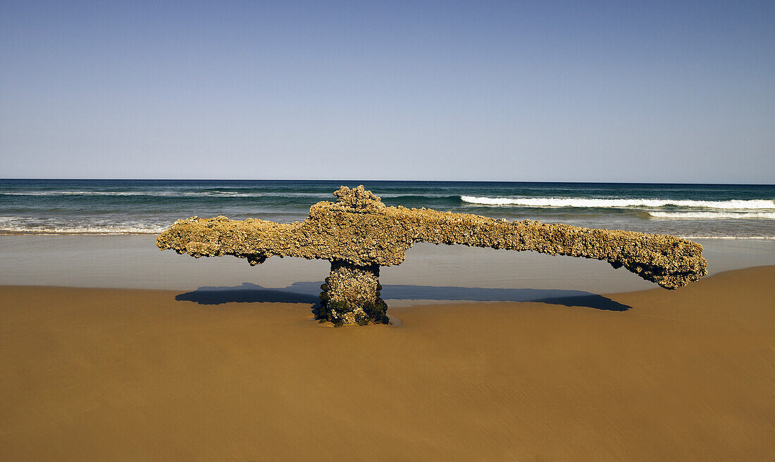 Large piece of ship debris covered in barnecles washed up on beach