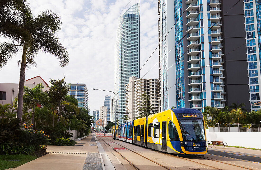 Tram traveling through city on the Gold Coast