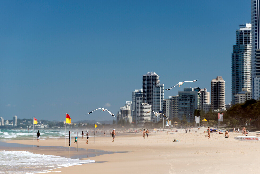 Menschen am Strand von Surfers Paradise und Hochhaus-Resorts an der Küste