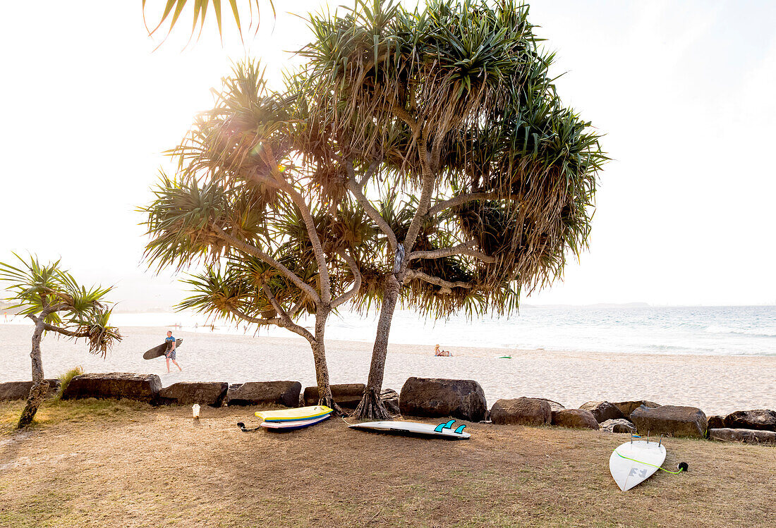 Surfboards and surfer at the beach