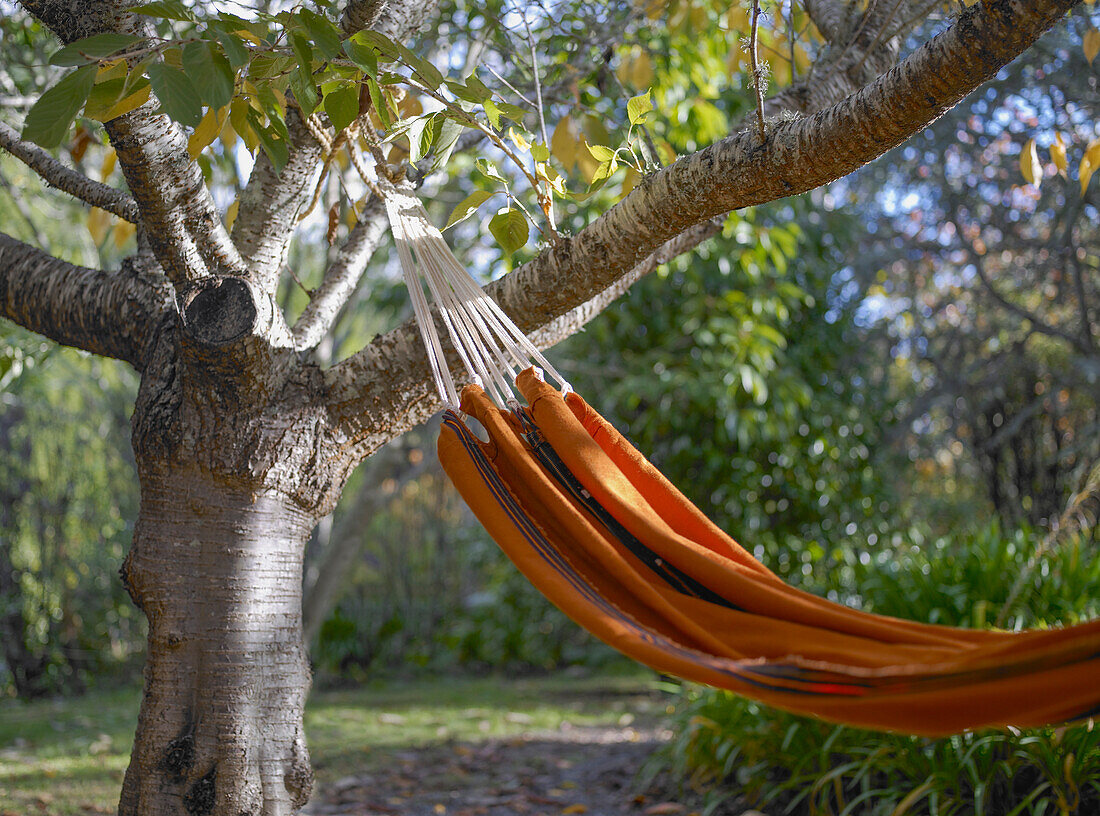 Close up of hammock secured to tree