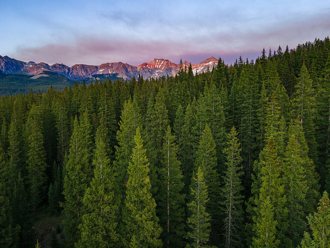 View of treetops and mountains at sunset, Colorado