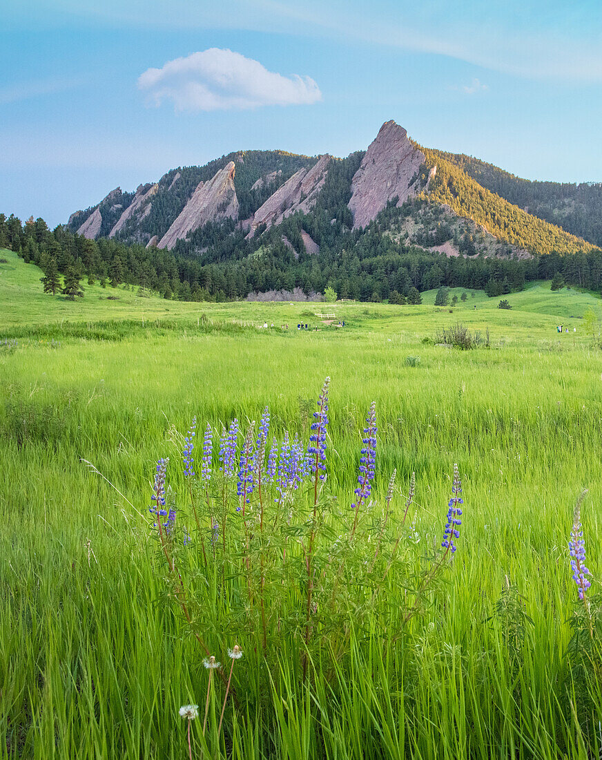 Flatirons Landscape in Boulder, Colorado, USA