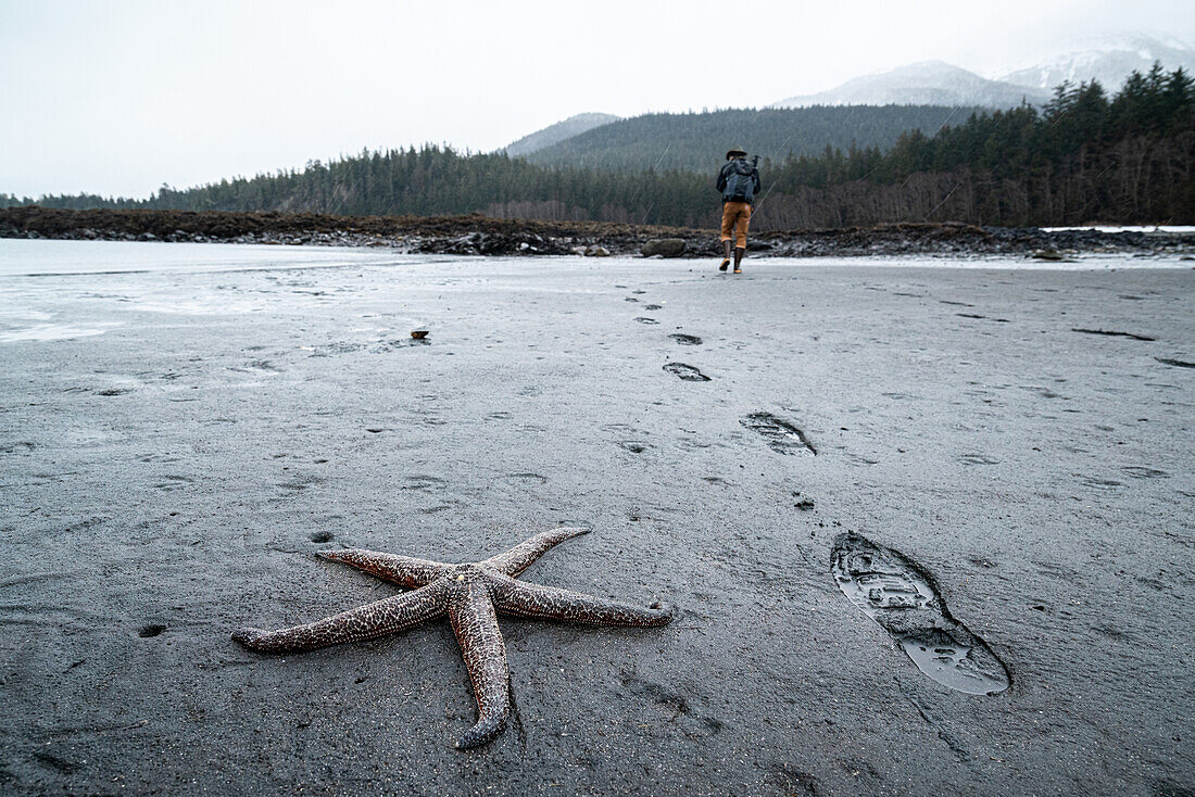 Walking down the beach at a low tide in Juneau, AK. A mottled seastar sits and waits for the tide to return.