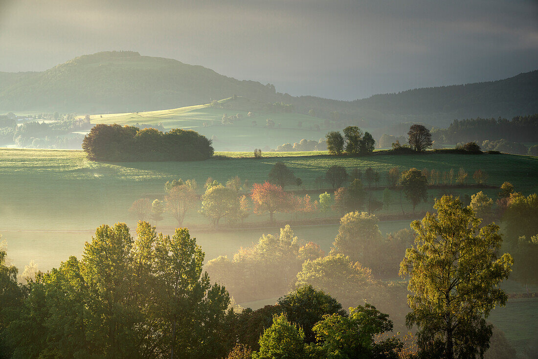 Morning mood with fog in the Rhoen, Maiersbach, Gersfeld, Hesse, Germany, Europe