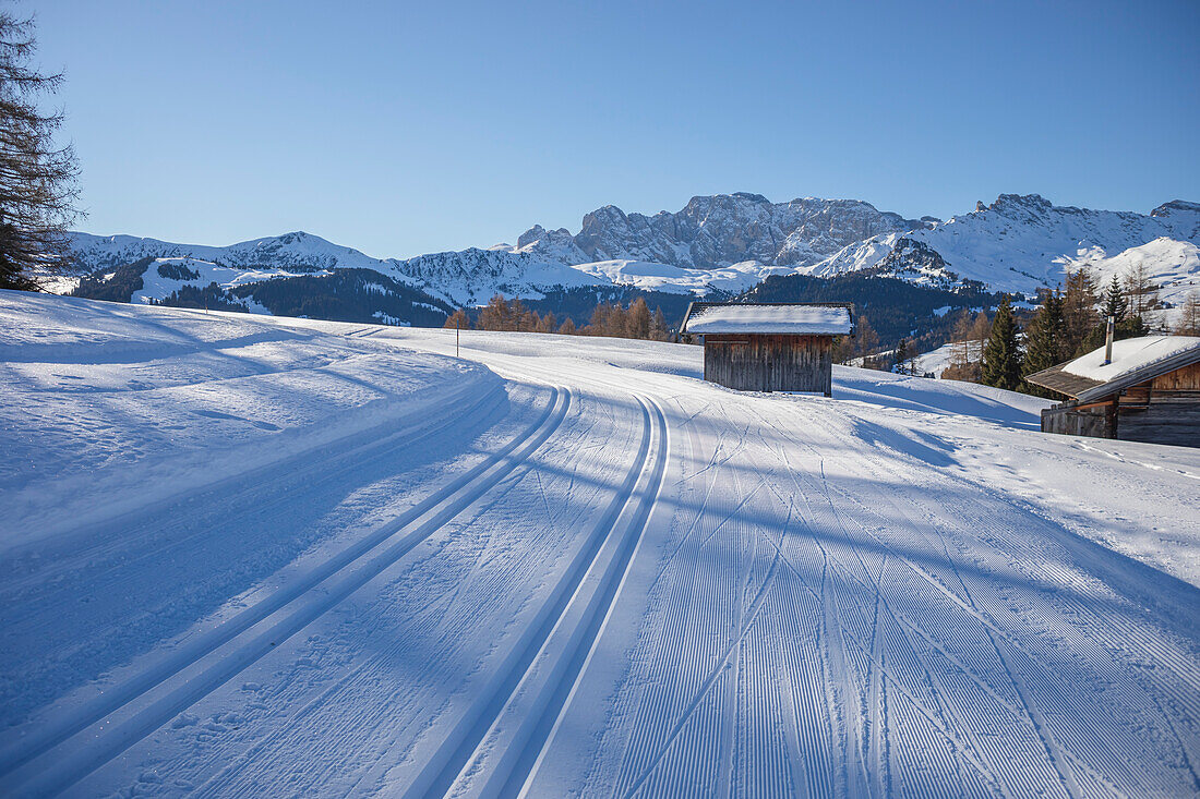 Ski trails on the plateau near Seiser Alm and Ortisei in Gröden aka Val Gardena, Autonomous Province of Bolzano - South Tyrol, Italy
