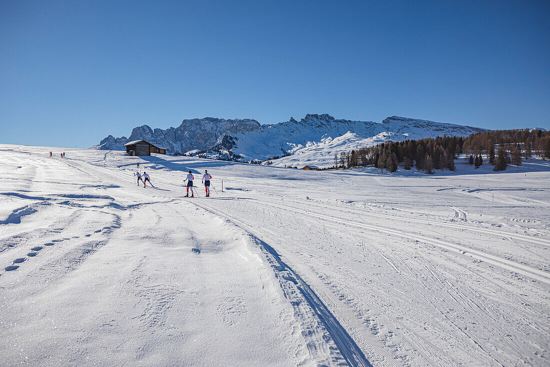 Loipen mit Langläufer auf der Hochebene bei Seiser Alm und St. Ulrich in Gröden alias Val Gardena, Autonome Provinz Bozen, Südtirol, Italien