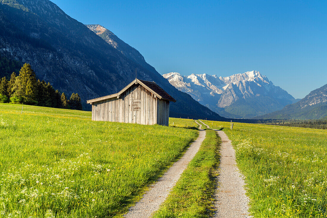 Path in front of the Wetterstein Mountains with Zugspitze (2,962 m), Eschenlohe, Upper Bavaria, Bavaria, Germany
