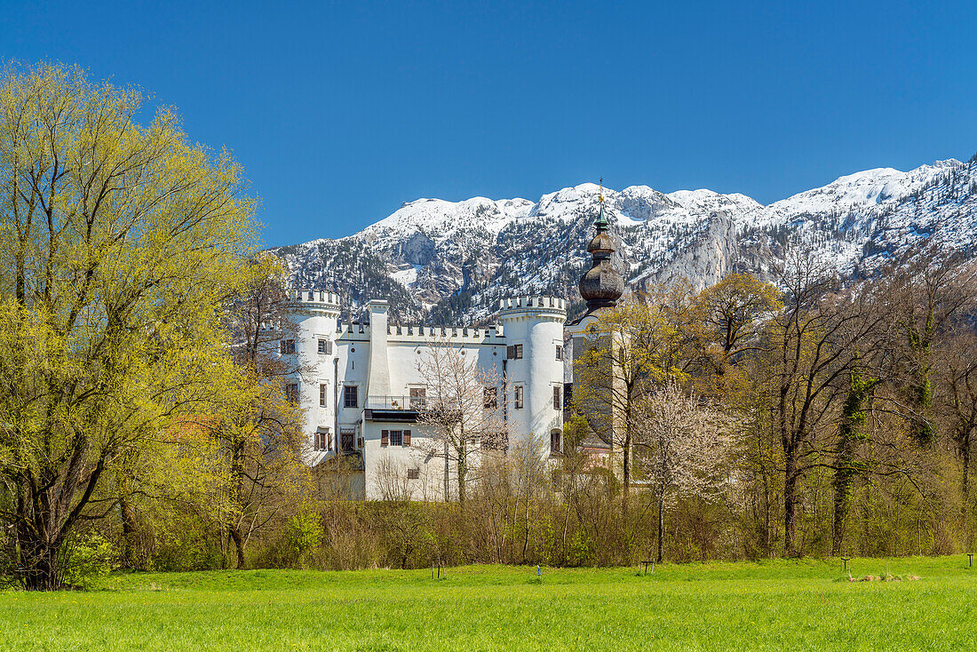 Marzoll Castle near Bad Reichenhall, Berchtesgadener Land, Upper Bavaria, Bavaria, Germany