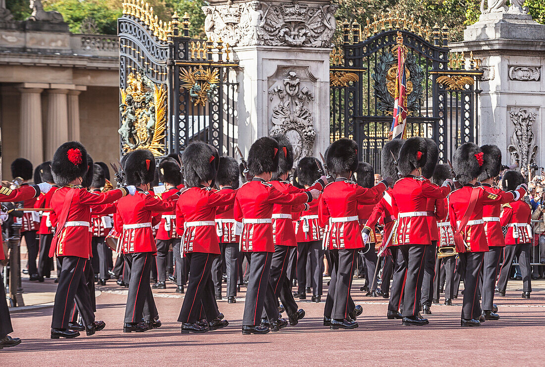 Wachablösung, Buckingham Palace, London, England, Vereinigtes Königreich