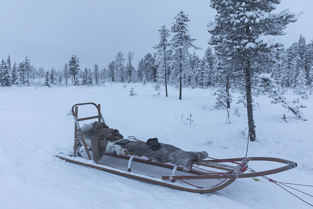 Winterszene im schwedischen Lappland mit leerem Hundeschlitten