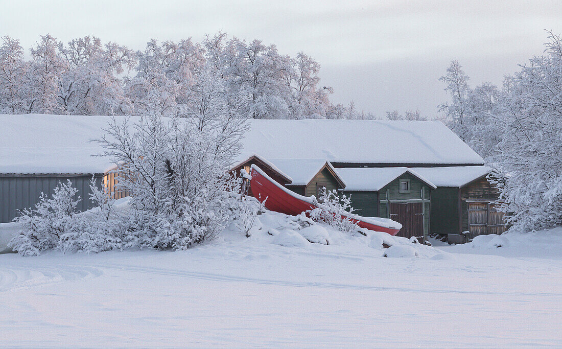 Winter scene in Swedish Lapland