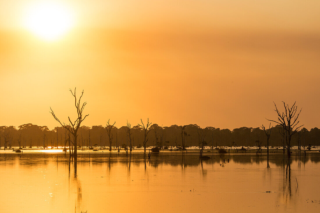 Orange sunset at the pool with dead trees near Neak Poan in the Angkor Complex.