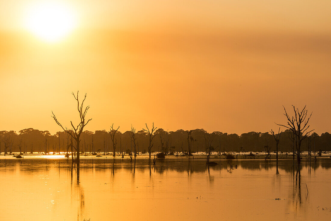 Orangefarbener Sonnenuntergang am Pool mit abgestorbenen Bäumenn in der Nähe von Neak Poan im Angkor-Komplex.