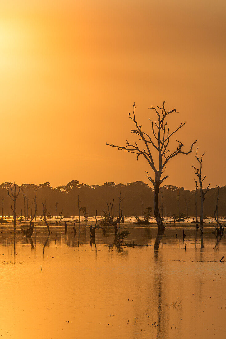 Orangefarbener Sonnenuntergang am Pool mit abgestorbenen Bäumenn in der Nähe von Neak Poan im Angkor-Komplex.