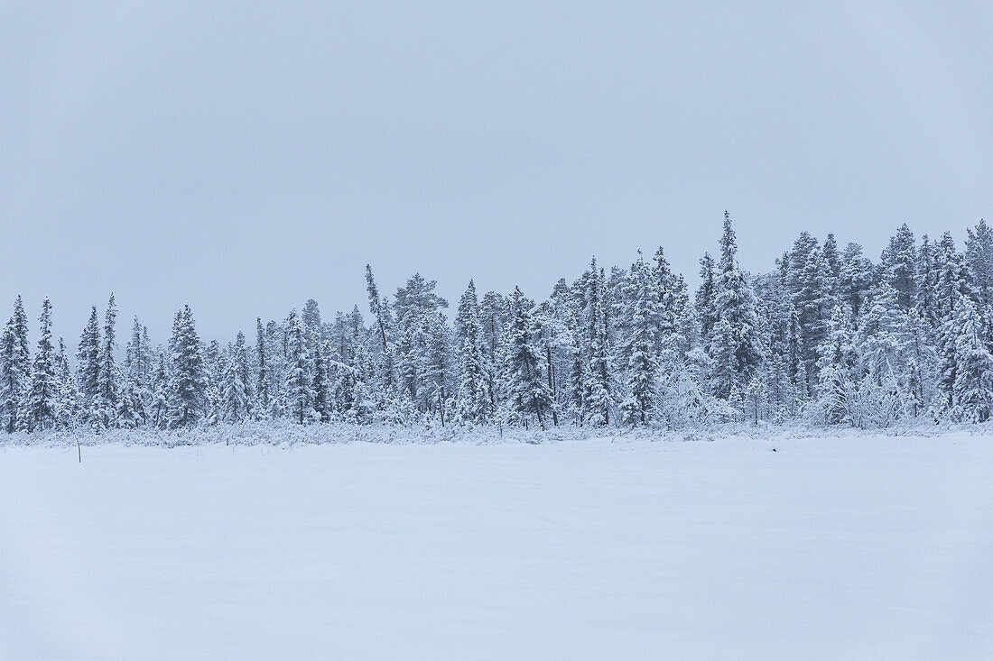 Ruhige Winterszene in Schwedisch Lappland