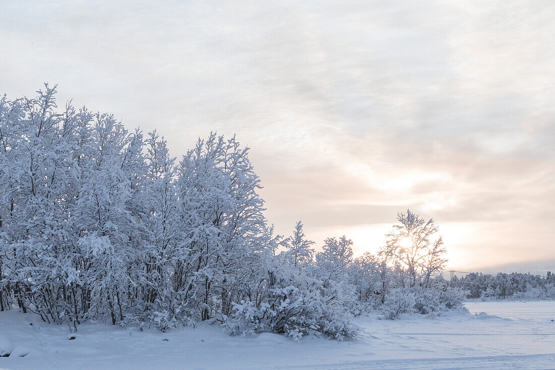 Winterszene in Schwedisch Lappland