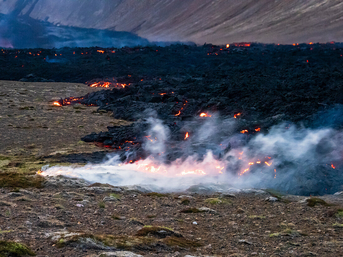 Tundrafeuer entlang der Lavafront, Vulkanausbruch Fagradalsfjall bei Geldingadalir, Island