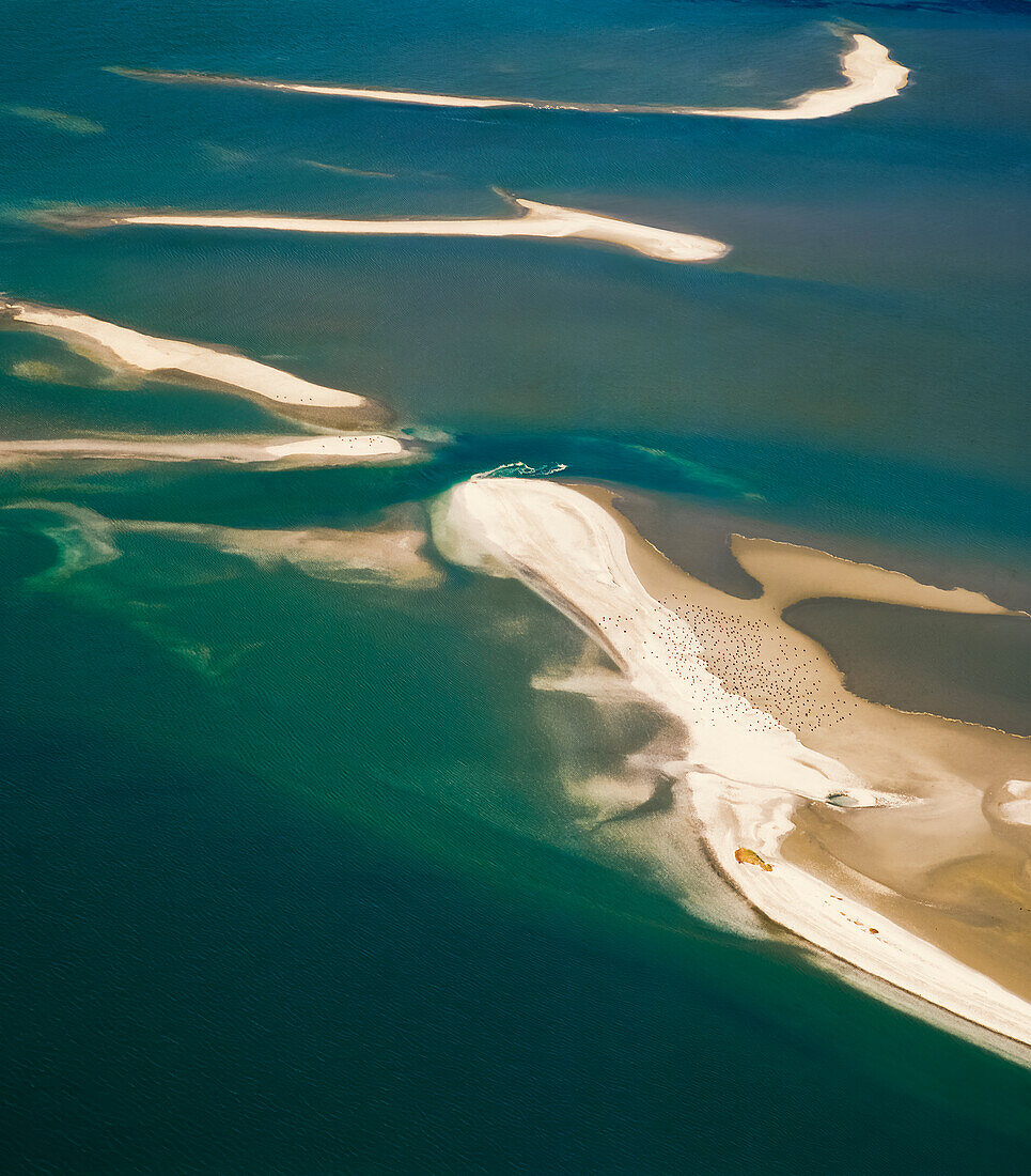 Aerial of Sandspits in tropical blue water and flock of birds flying over
