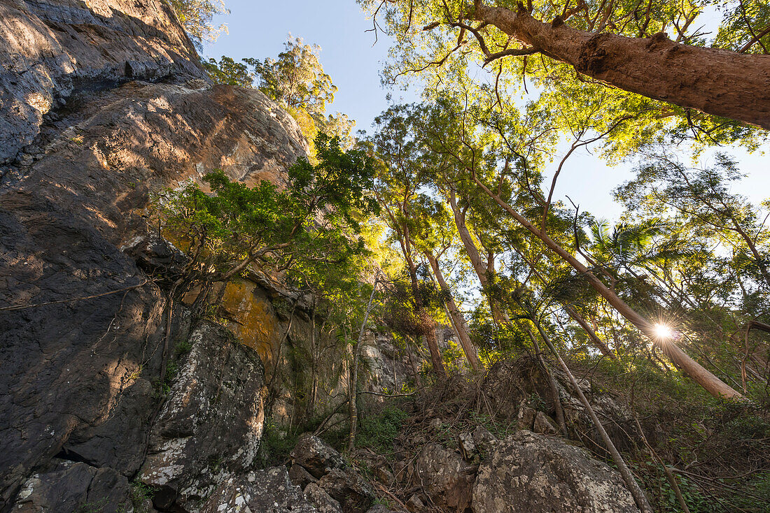 Looking up at rocky cliff face and trees
