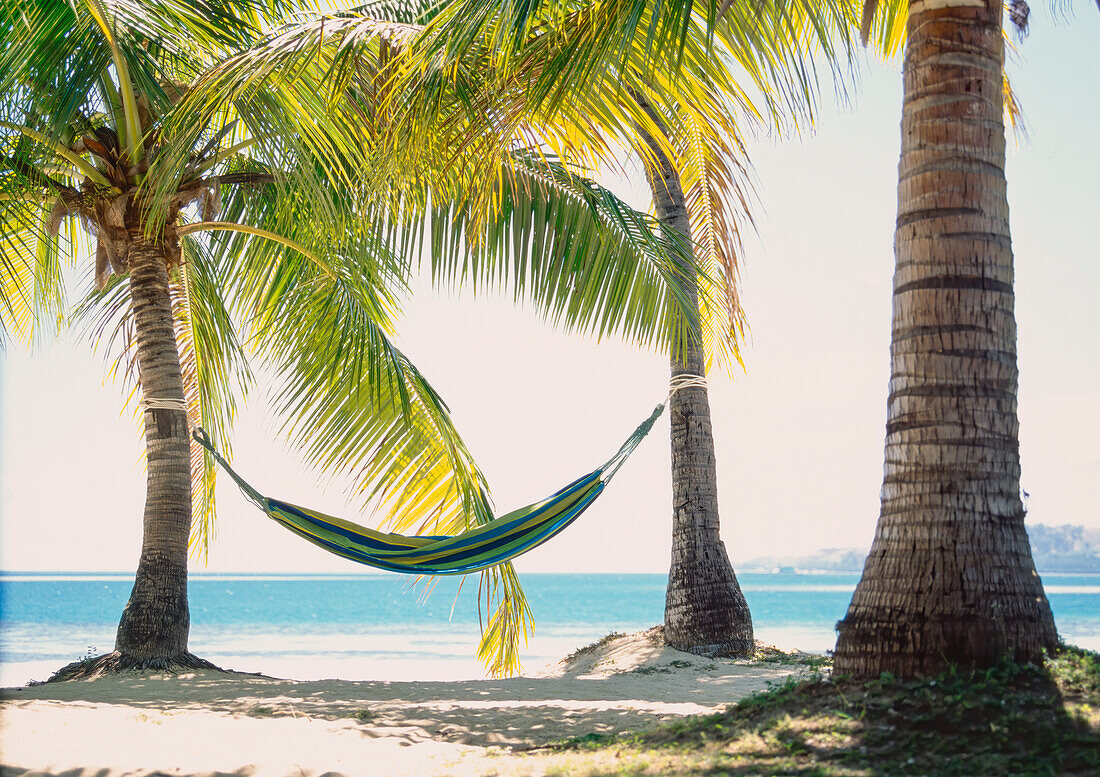 Hammock tied between two palm trees on tropical beach in Fiji