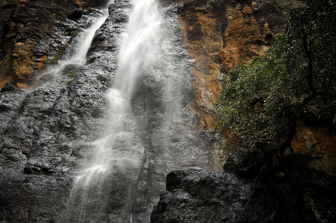 Water falling down rocky surface at Purlingbrook Falls in Springbrook