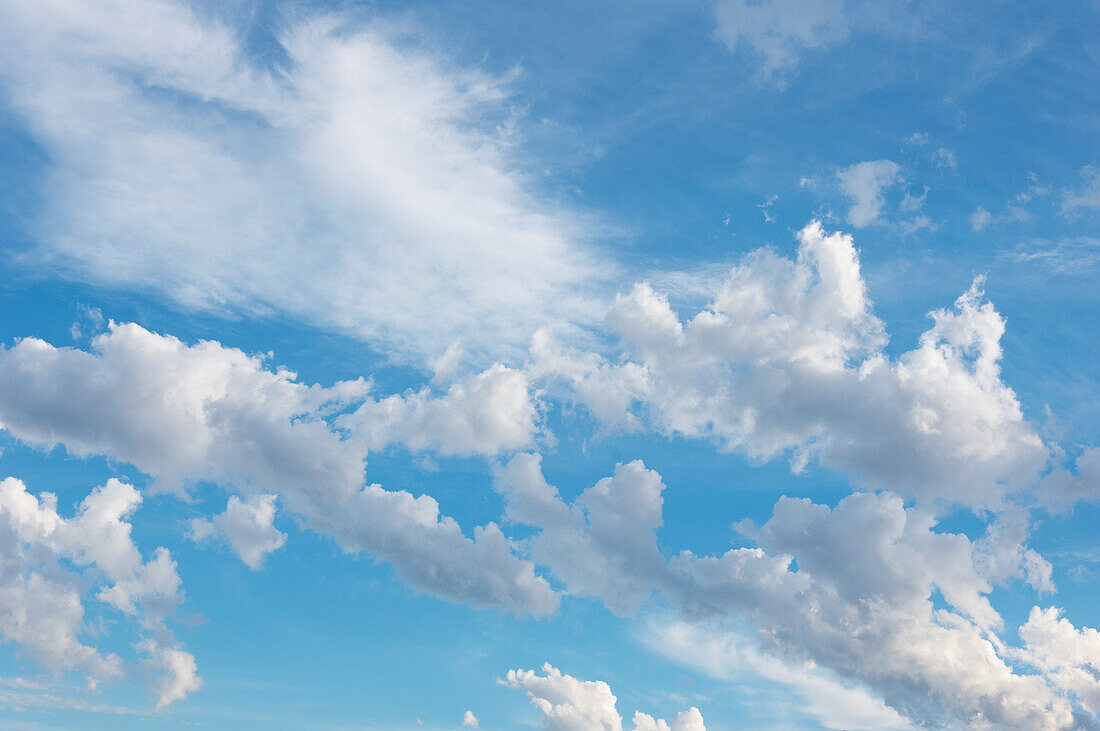Kumuluswolken im blauen Himmel