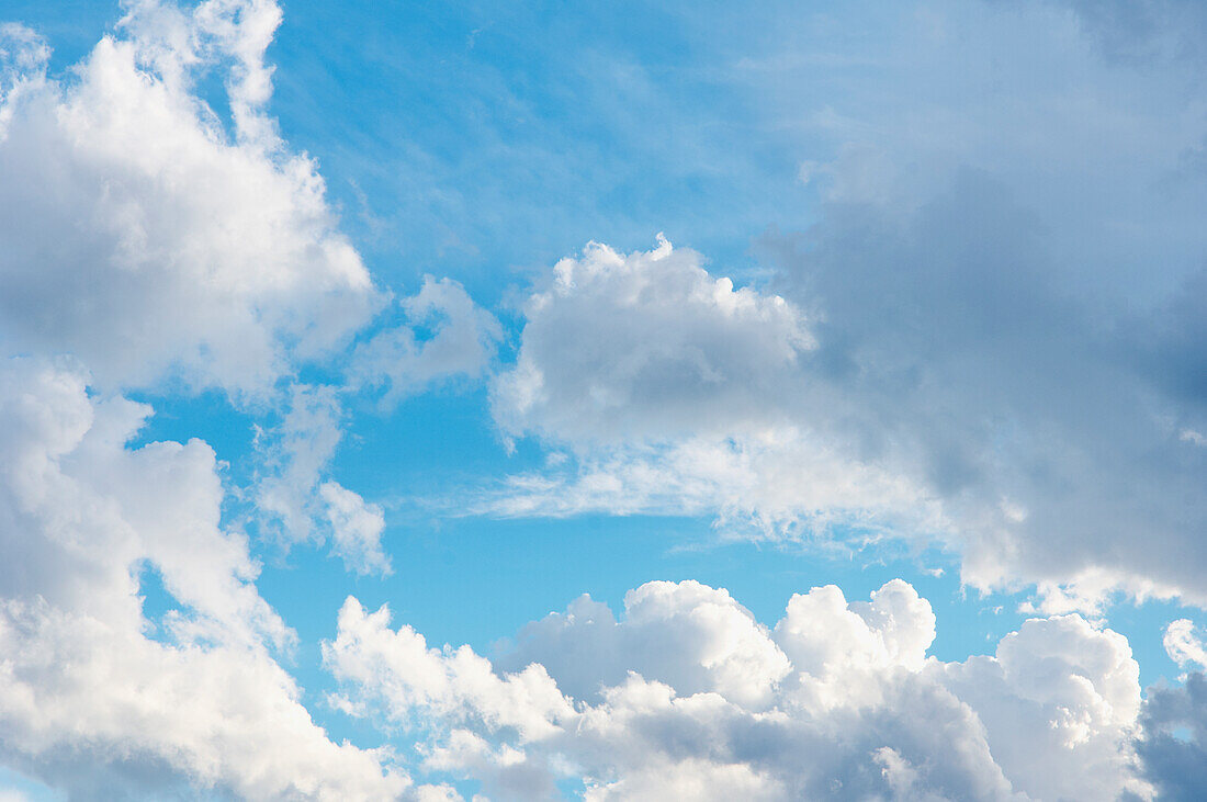 Kumuluswolken am blauen Himmel