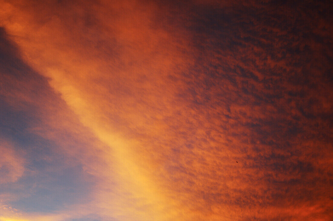 Pink clouds in the sky at sunset