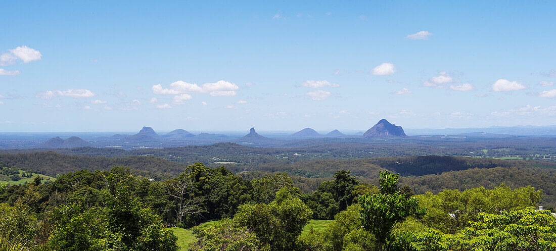 Panorama mit Blick über das einheimische Buschland auf die Glasshouse Mountains - Sunshine Coast
