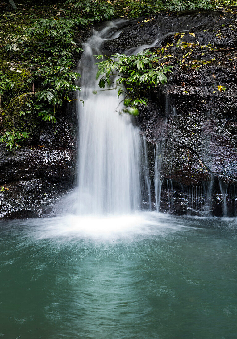 Wasserfall fließt über Felsen in den Pool bei Elabana Falls - Gold Coast