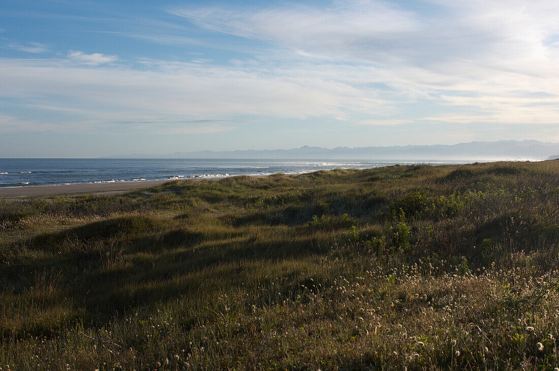Coastline of Waiotahi Bay looking across to Waihau Bay on the East Coast of North Island, New Zealand
