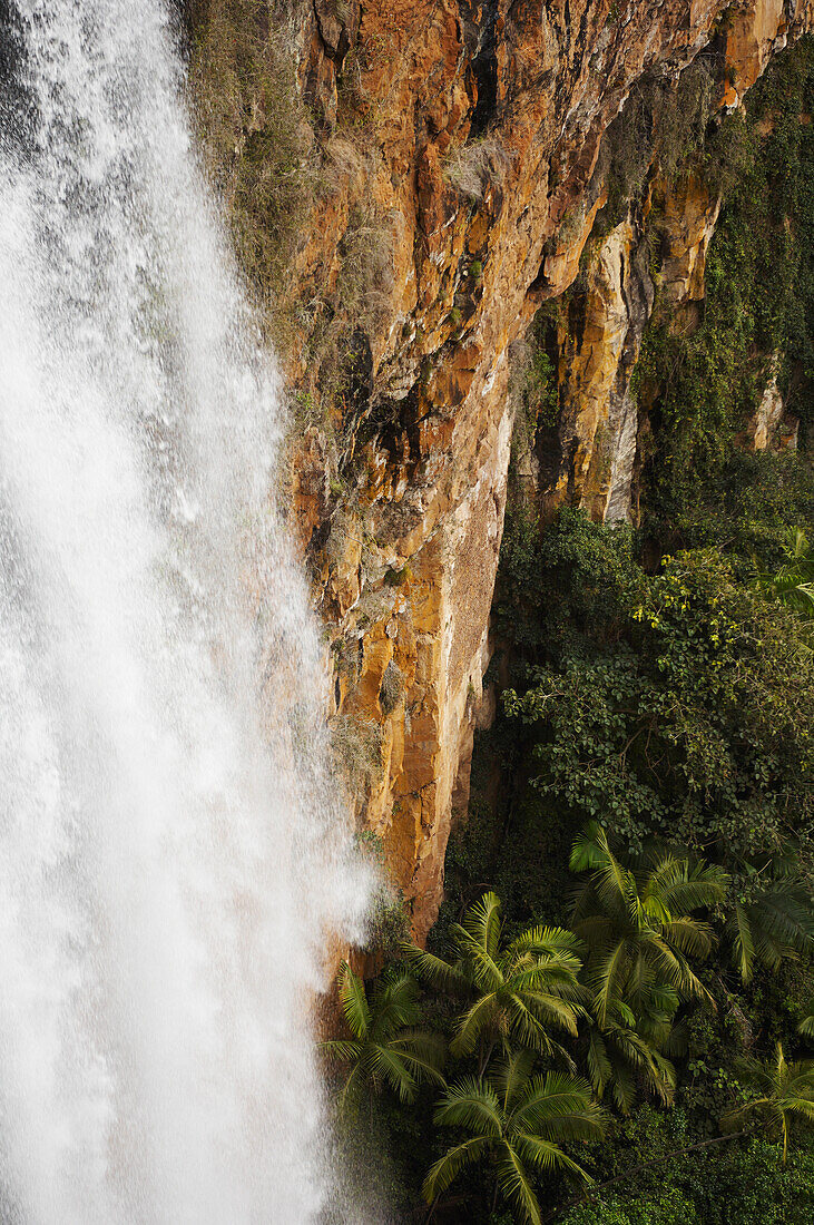 Wasserfall, der in tropischen Regenwald fällt