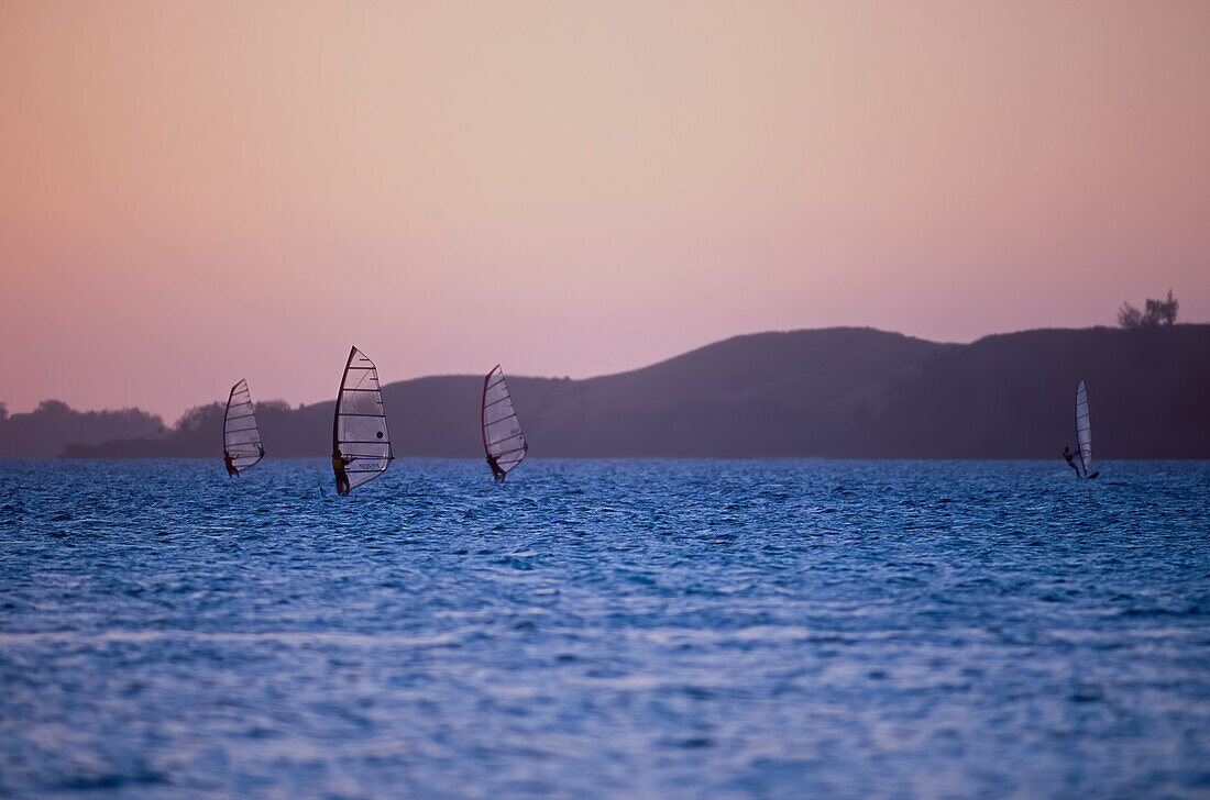 Windsurfers on the water at sunset